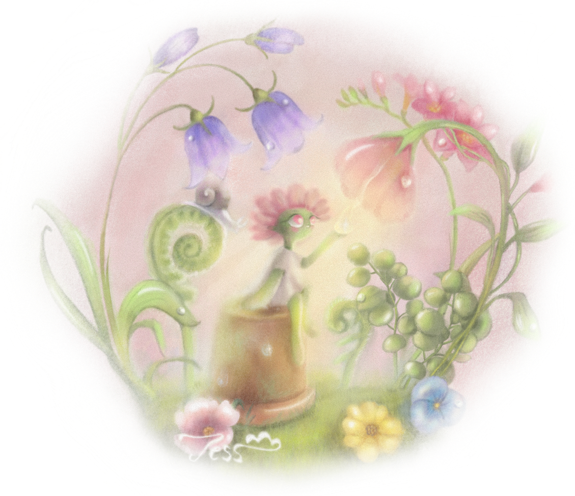 Illustrations
